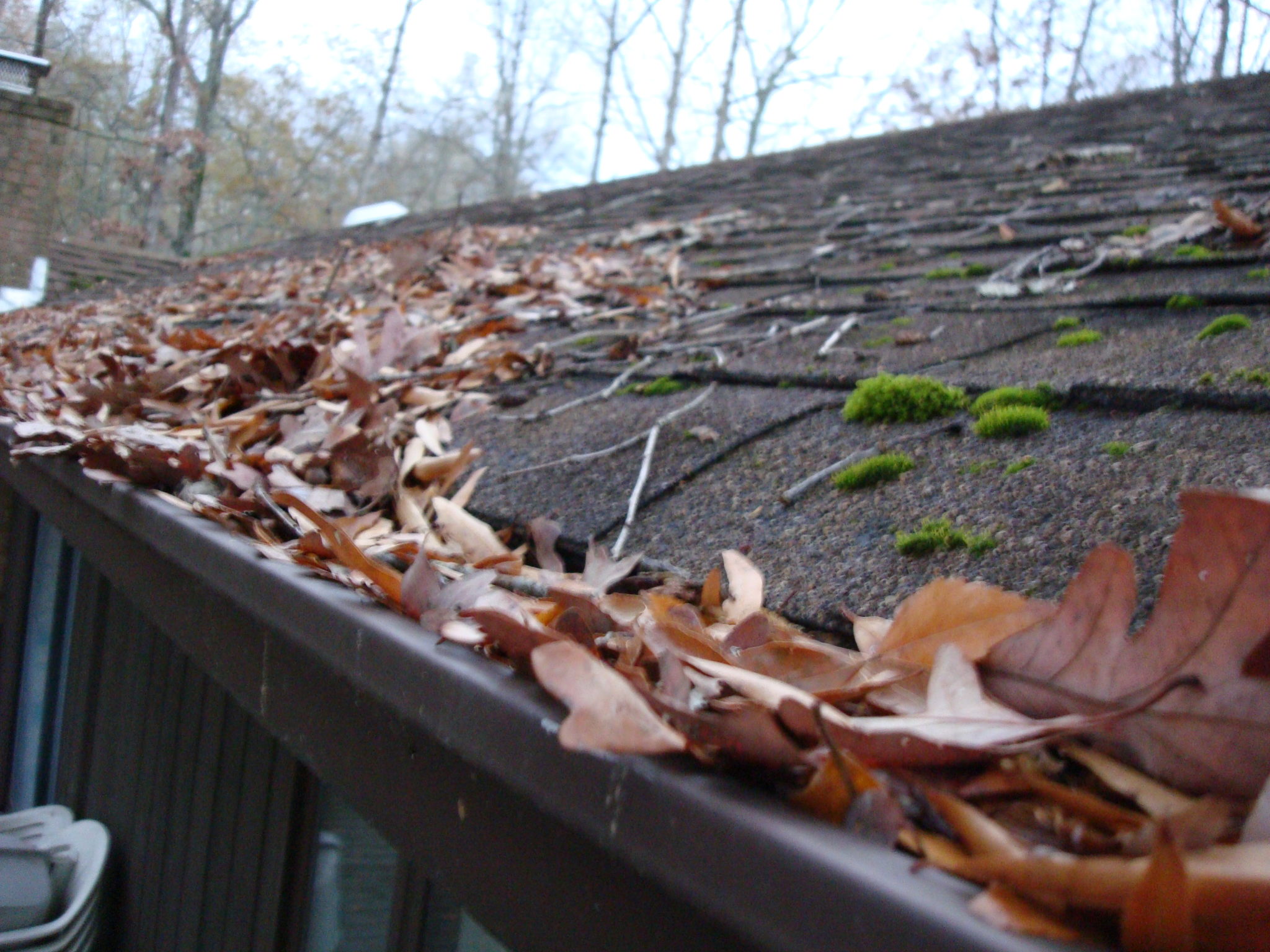 Roof Maintainence - The Importance Of Gutter Cleaning