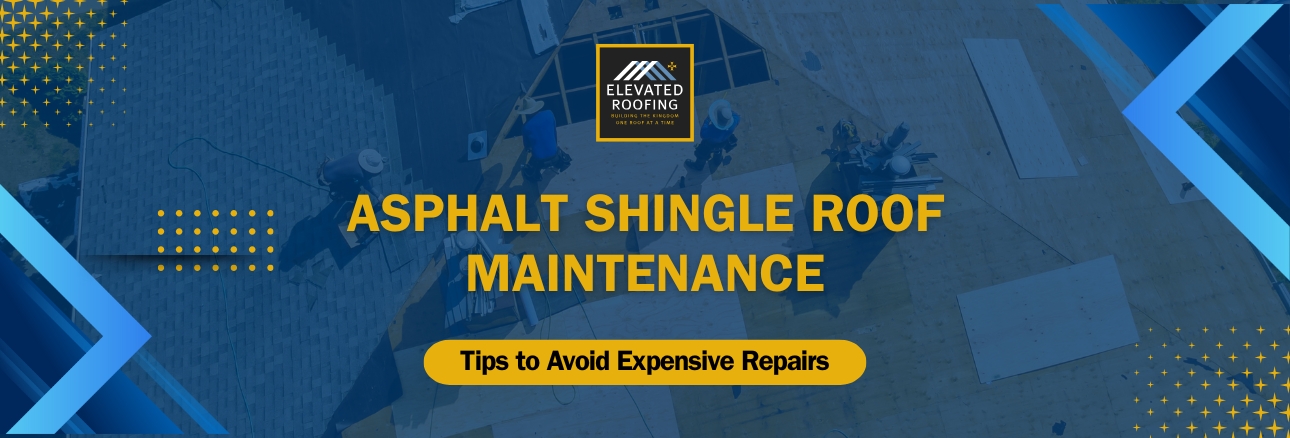 Maintaining your asphalt shingle - Tips to Avoid Expensive Repairs - Elevated Roofing