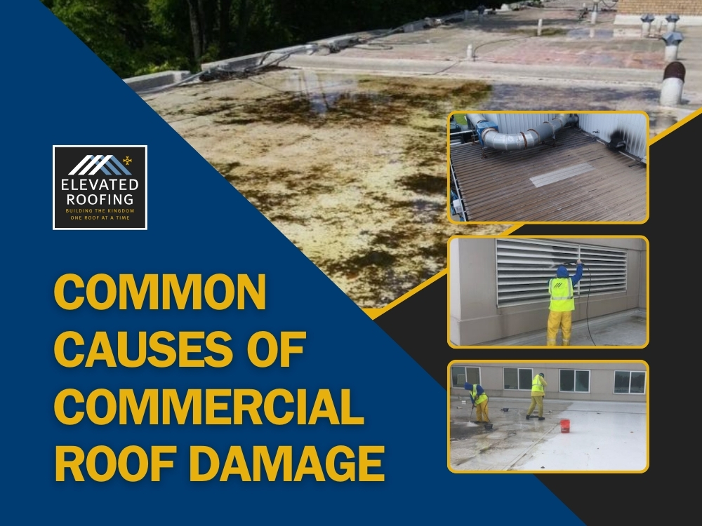 Commercial Roof Maintenance Programs - Elevated Roofing