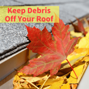 Keep Debris Off Your Roof | Commercial Roofing Dallas | Elevated Roofing